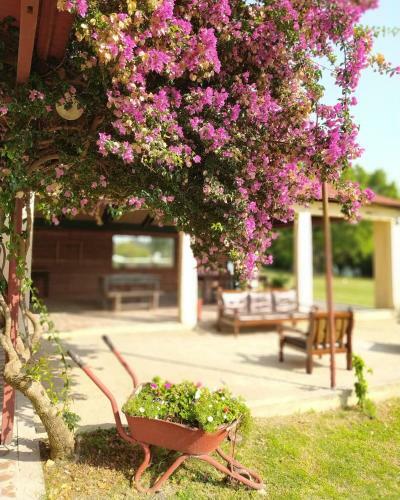 Hotel La Posada De Ofelia