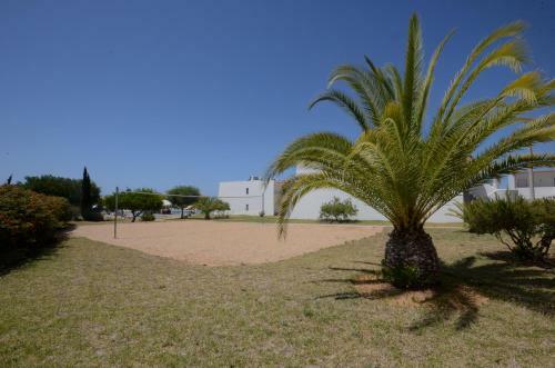 Apartamento 8 1 Figueirinhas - Casas & Pap�is