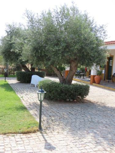 Agroturismo Monte Al�m Tejo