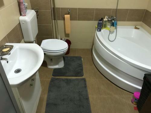 Luxury Apartment Mihai Bravu