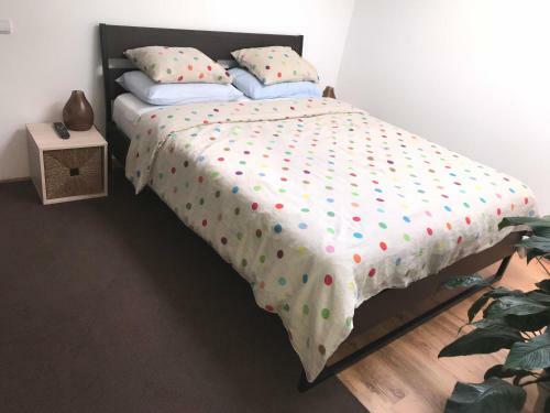 Luxury Apartment Mihai Bravu