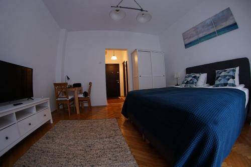 Apartamento Downtown Studio - Cismigiu Park