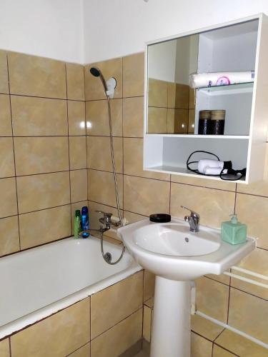 Apep Apartments - Tineretului 1