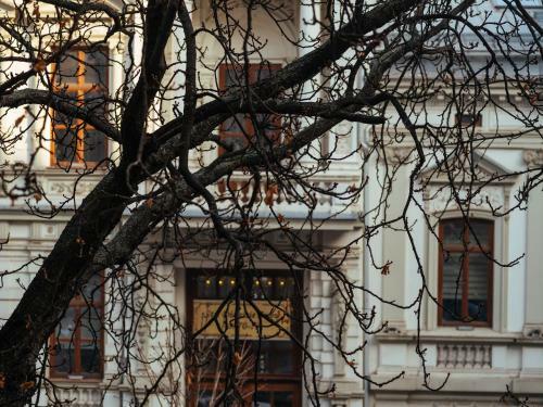 Apartamento City Center Studio - Historic District