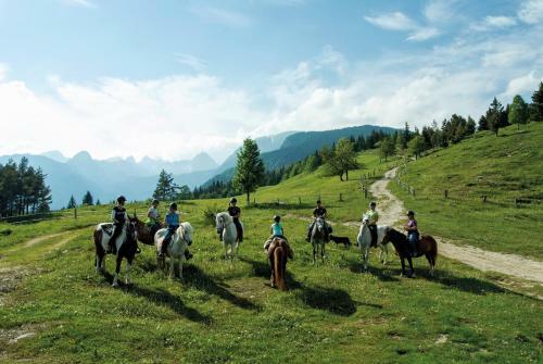 Apartmaji ?trud�l Bohinj