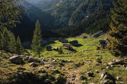 Apartmaji ?trud�l Bohinj