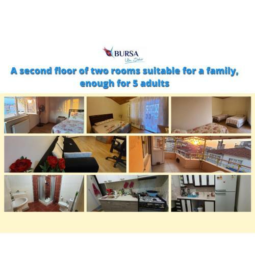Lux Shared Room