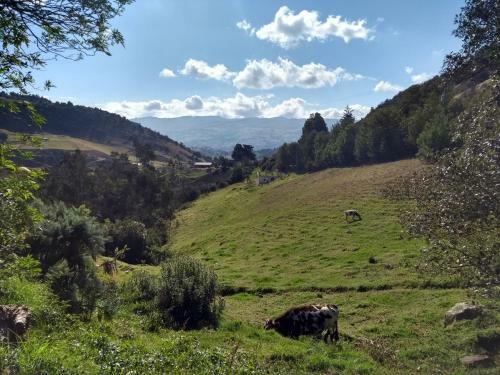 Agroturismo Las Acacias Hobbit House