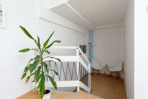 Sb Centar Apartmani