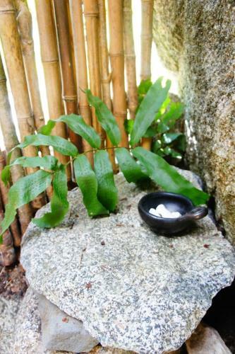 Bed & Breakfast Ecofinca Fuente Alegre