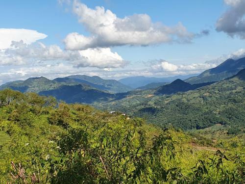 Bed & Breakfast Ecofinca Fuente Alegre