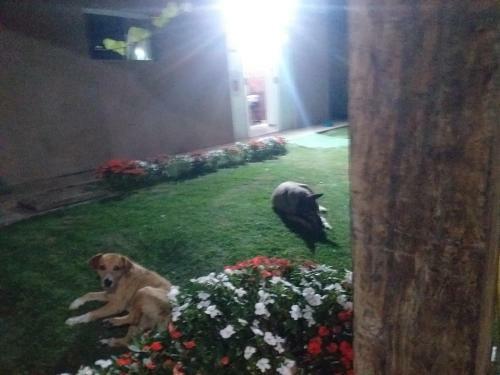 Hostal Hospedagem & Hostel Maria Joana