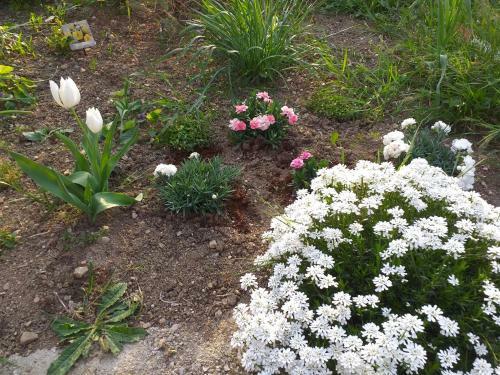 Apartamento Istra