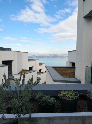 Apartment Morski Cvet