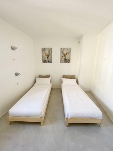 Hostal Guest House Via Flavia