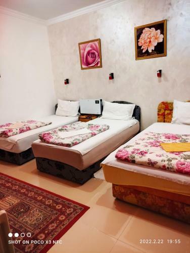 Albergue Top Location Free Wifi