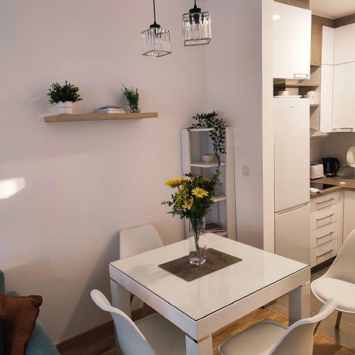 Apartamento Centar Novi Sad-filipa Vi?nji?a-app No 6