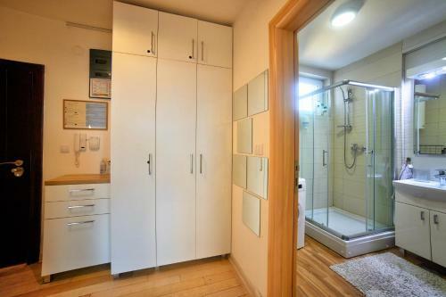 Apartman Strahinja - Centar