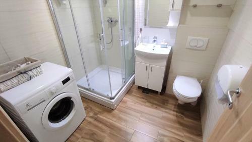 Apartman Strahinja - Centar