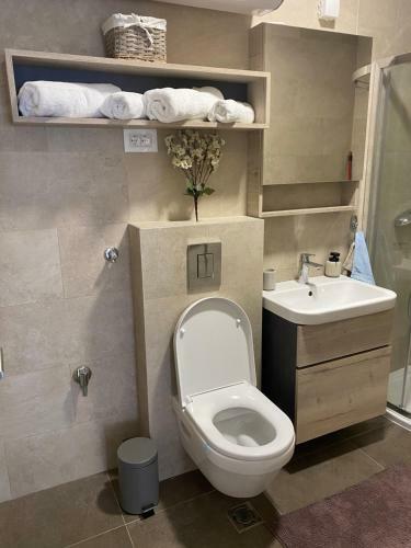 Apartment Pupin Star - City Centre