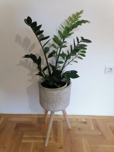 Apartamento Carmen Deluxe