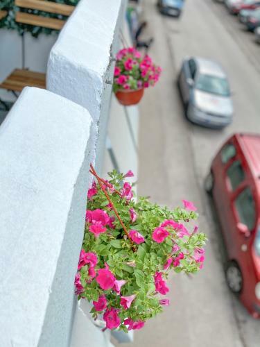 Shakespeare Apartment Novi Sad