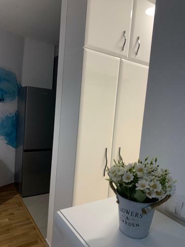 Apartamento Studio Anja Novi Sad