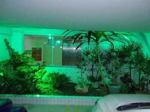 Apartamento Na Prainha - Pertinho Do Mar II