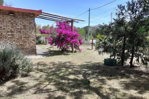 Casa De Playa En Guazuvira Nuevo
