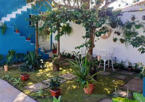 Hotel Pousada Recanto Das Oliveiras-b�zios