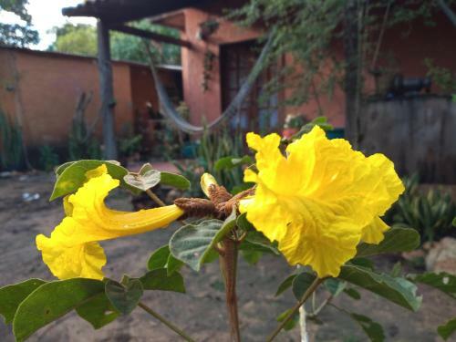 Espa�o Cris�ntemos B�zios