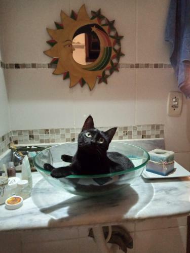 Espa�o Cris�ntemos B�zios