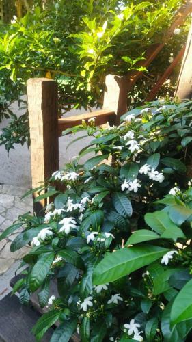 Hotel Pousada Lopetxea