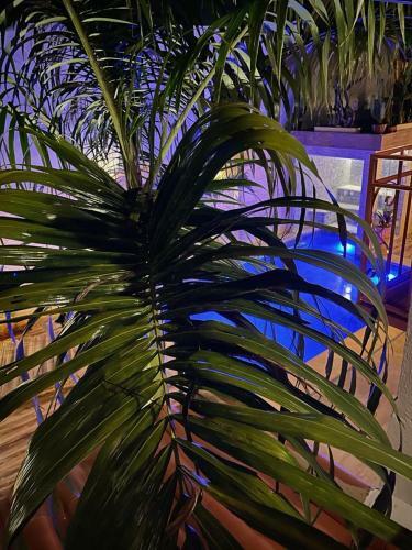 Bed & Breakfast Villa Lulu Gerib�