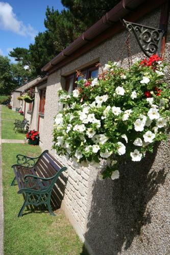 Hostal Wheal Rodney Holiday Lodges