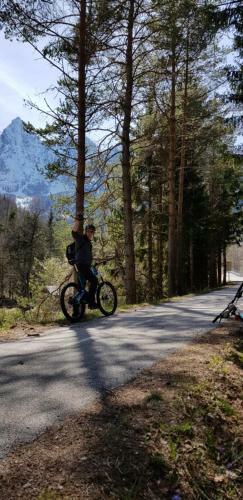 Yellow Apartma Kranjska Gora