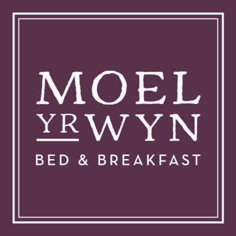 Bed & Breakfast Moel Yr Wyn