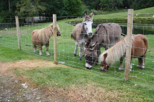 Agroturismo Ardgarry Farm