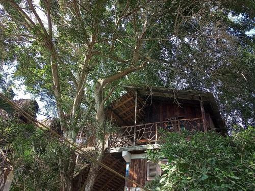 Hotel Nunkai Eco-hostal & Caf� Bosque