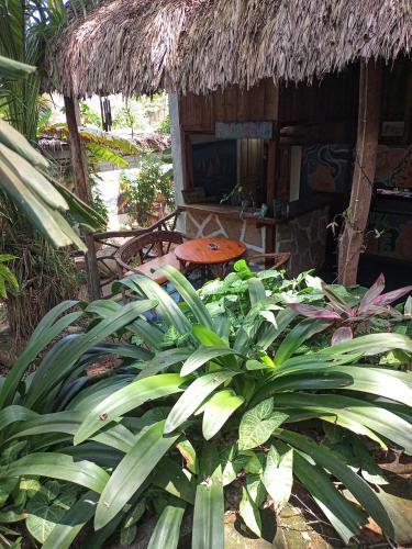 Hotel Nunkai Eco-hostal & Caf� Bosque