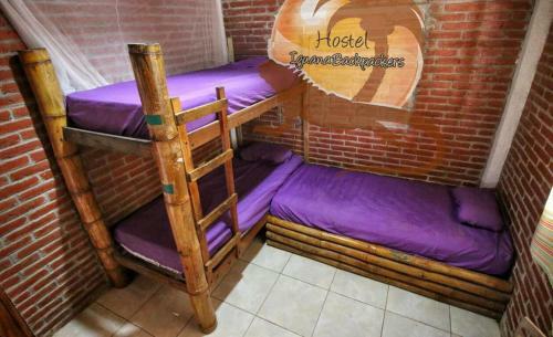 Albergue Iguana Beach House