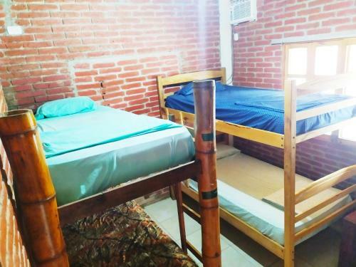 Albergue Iguana Beach House