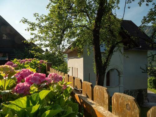 Alpeambient House Dovje