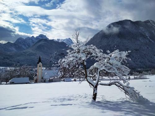 Apartments River Cottage Mojstrana