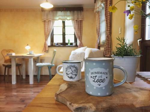 Apartments River Cottage Mojstrana