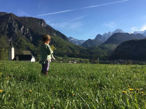 Apartments River Cottage Mojstrana