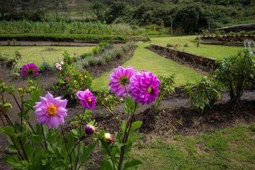 Hotel Tuparina Lodge