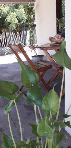 Casa Maresia Barra Grande