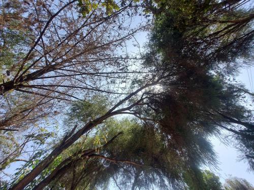 Peraklitos Vacation Home / Homestay