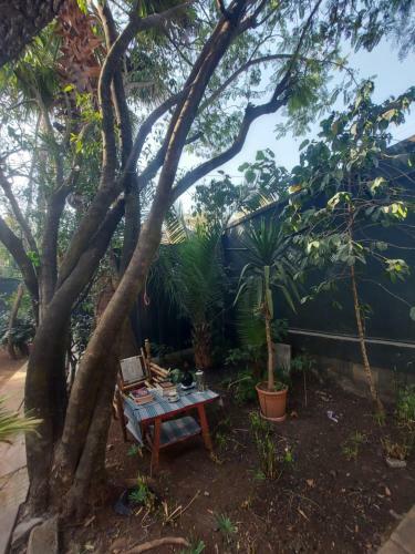 Peraklitos Vacation Home / Homestay